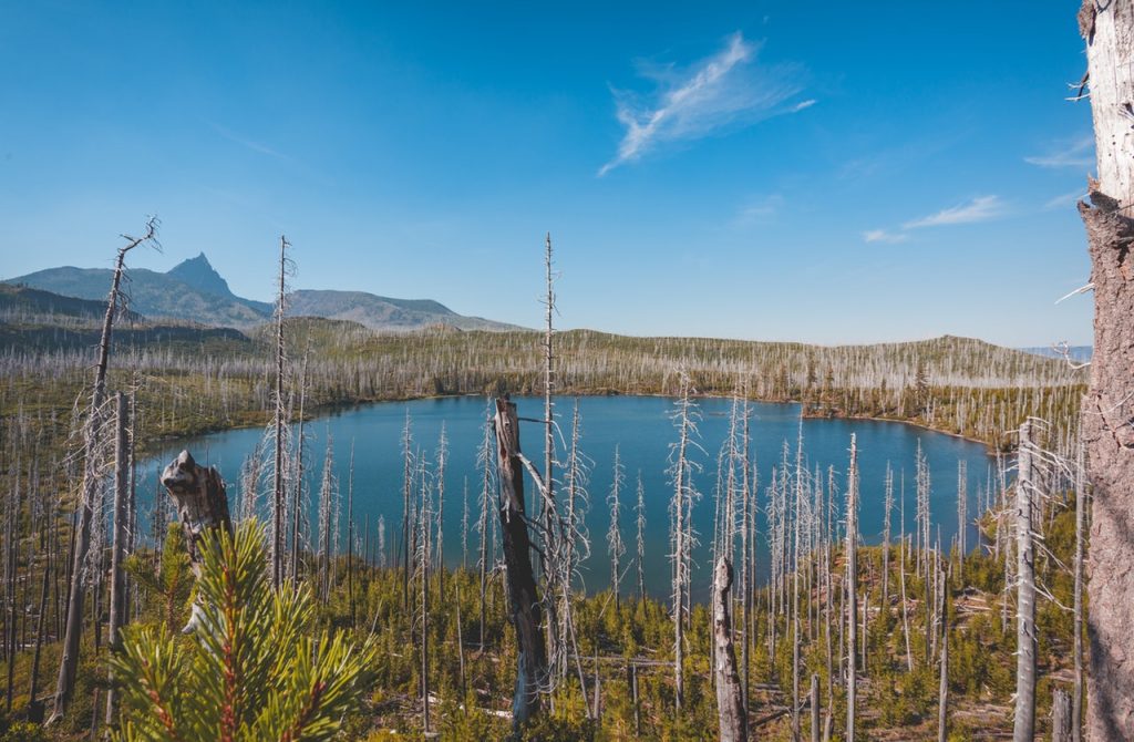 Movers Salem Oregon Salem, OR Coast Movers